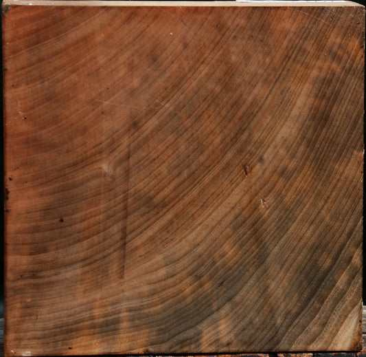 Madrone Burl Bowl Blank
