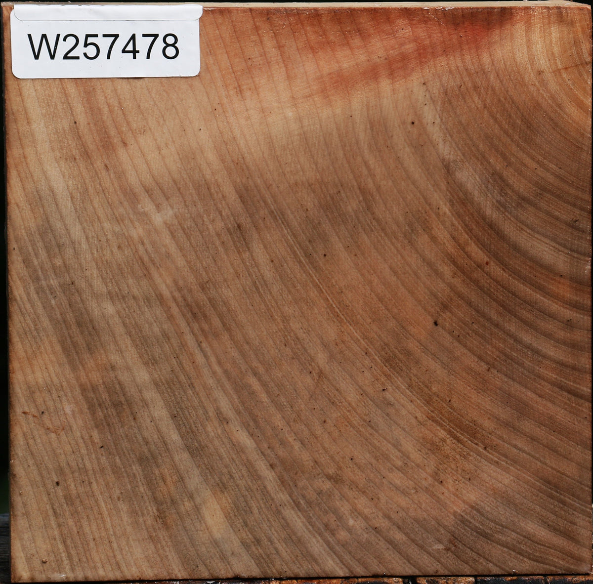 Madrone Burl Bowl Blank