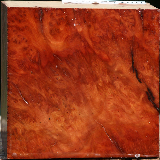 Red Gum Burl Bowl Blank