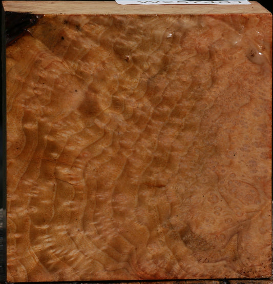 Madrone Burl Bowl Blank