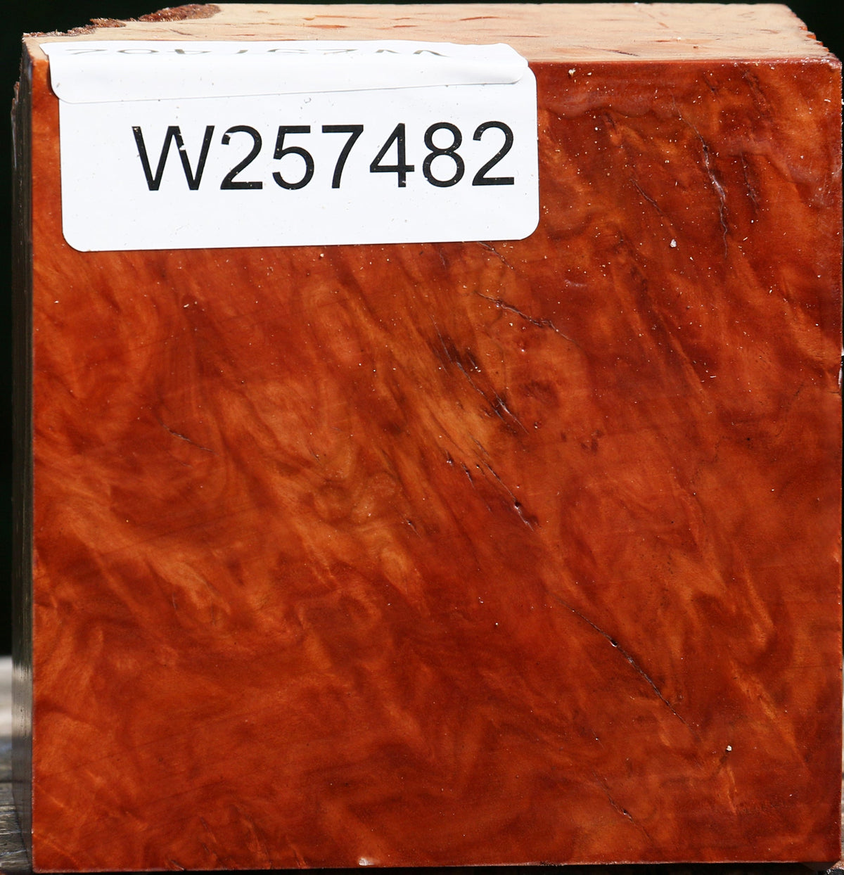 Red Coolibah Burl Bowl Blank