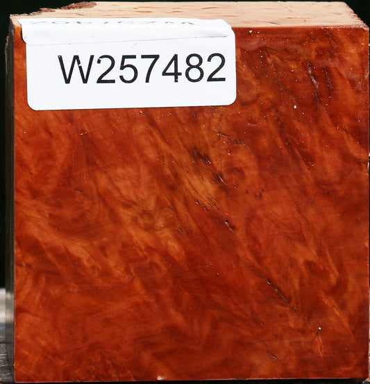 Red Coolibah Burl Bowl Blank