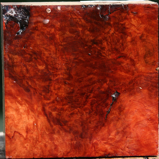 Rustic Red Coolibah Burl Bowl Blank