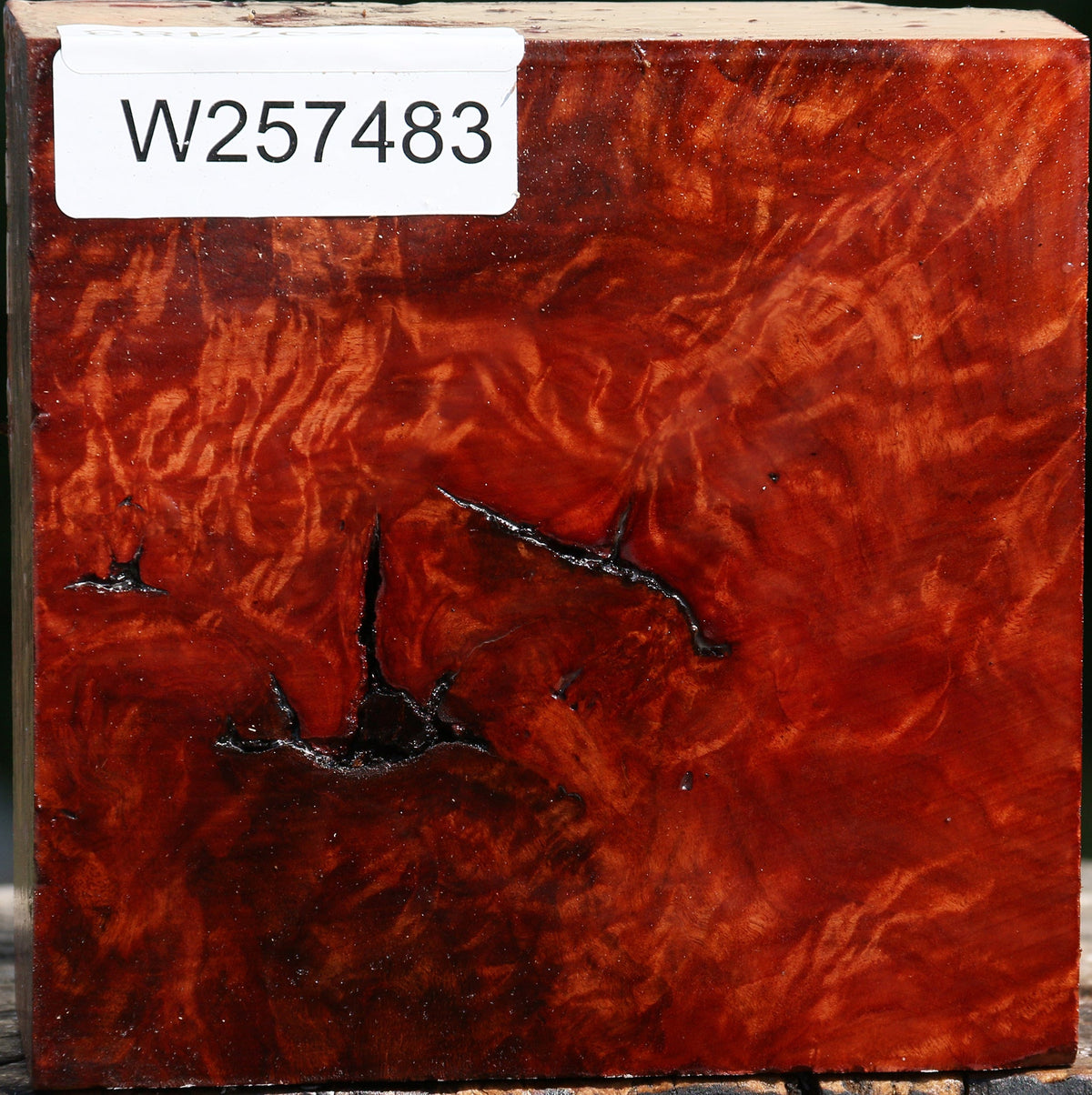 Rustic Red Coolibah Burl Bowl Blank