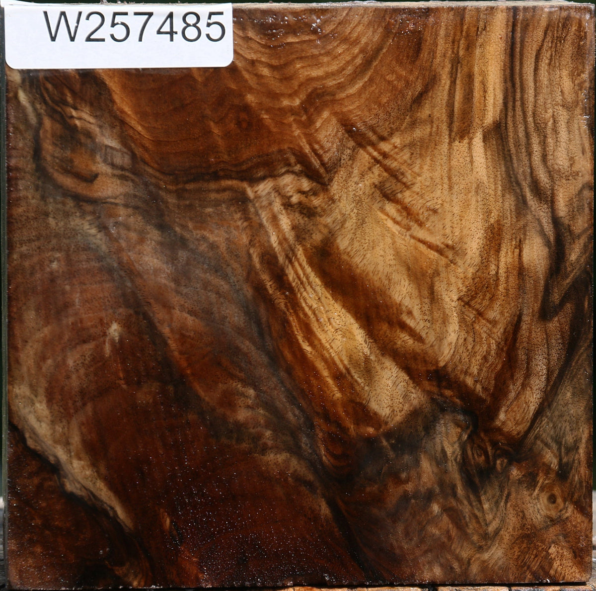 Extra Fancy Grafted English/Claro Walnut Bowl Blank