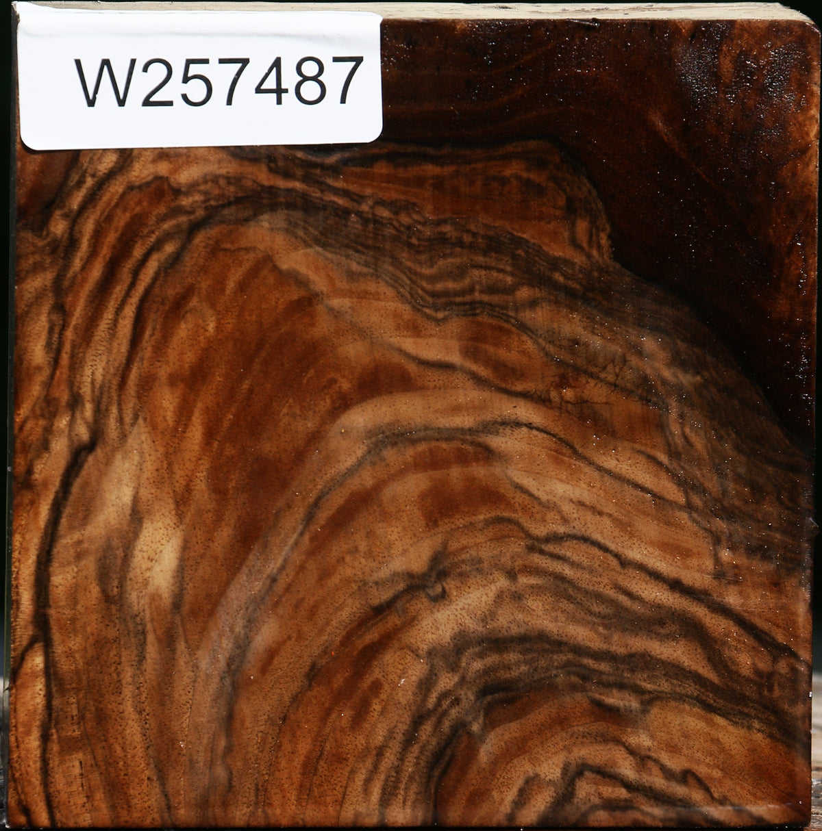 Extra Fancy Grafted English/Claro Walnut Bowl Blank