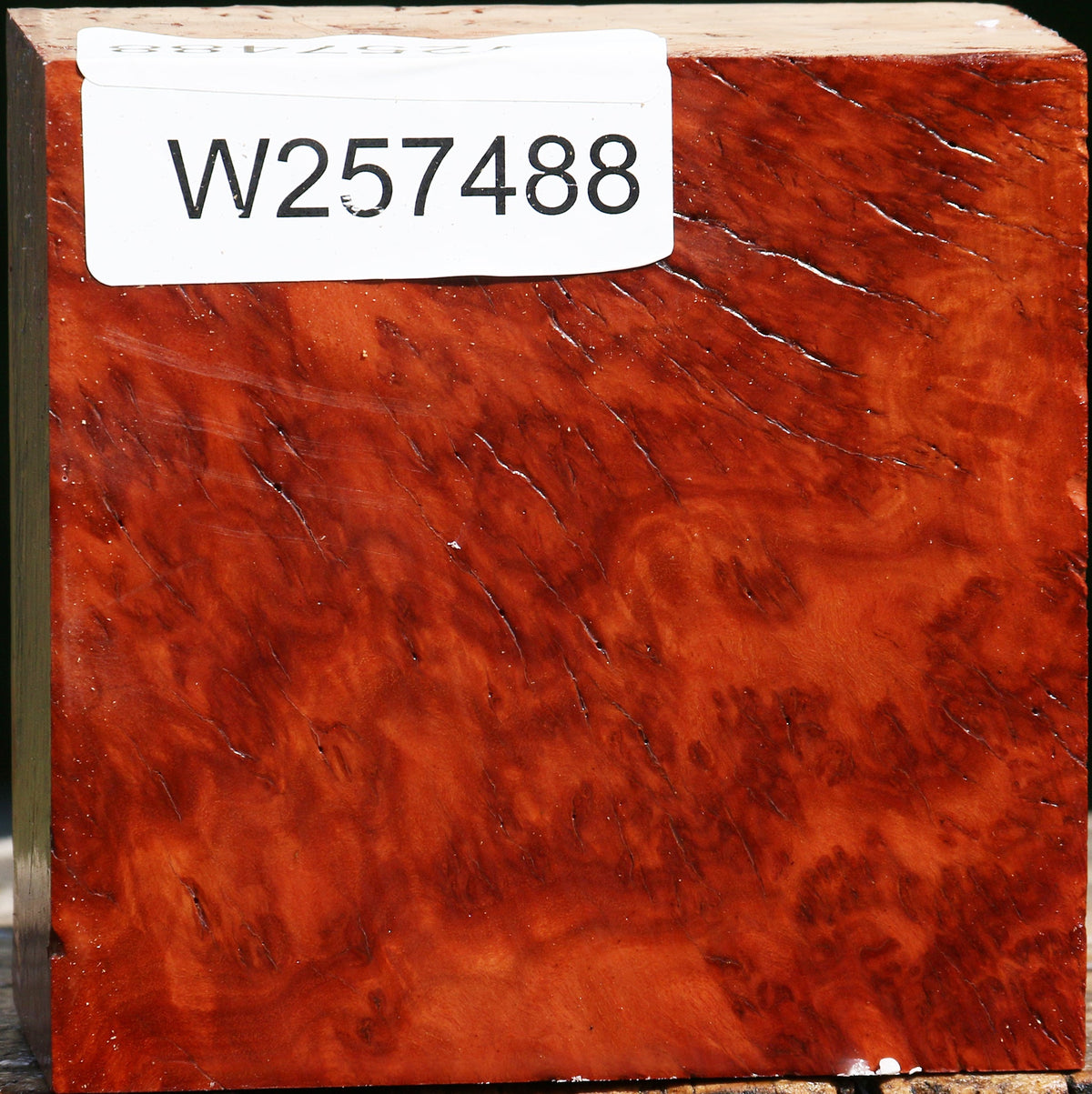 Red Coolibah Burl Bowl Blank