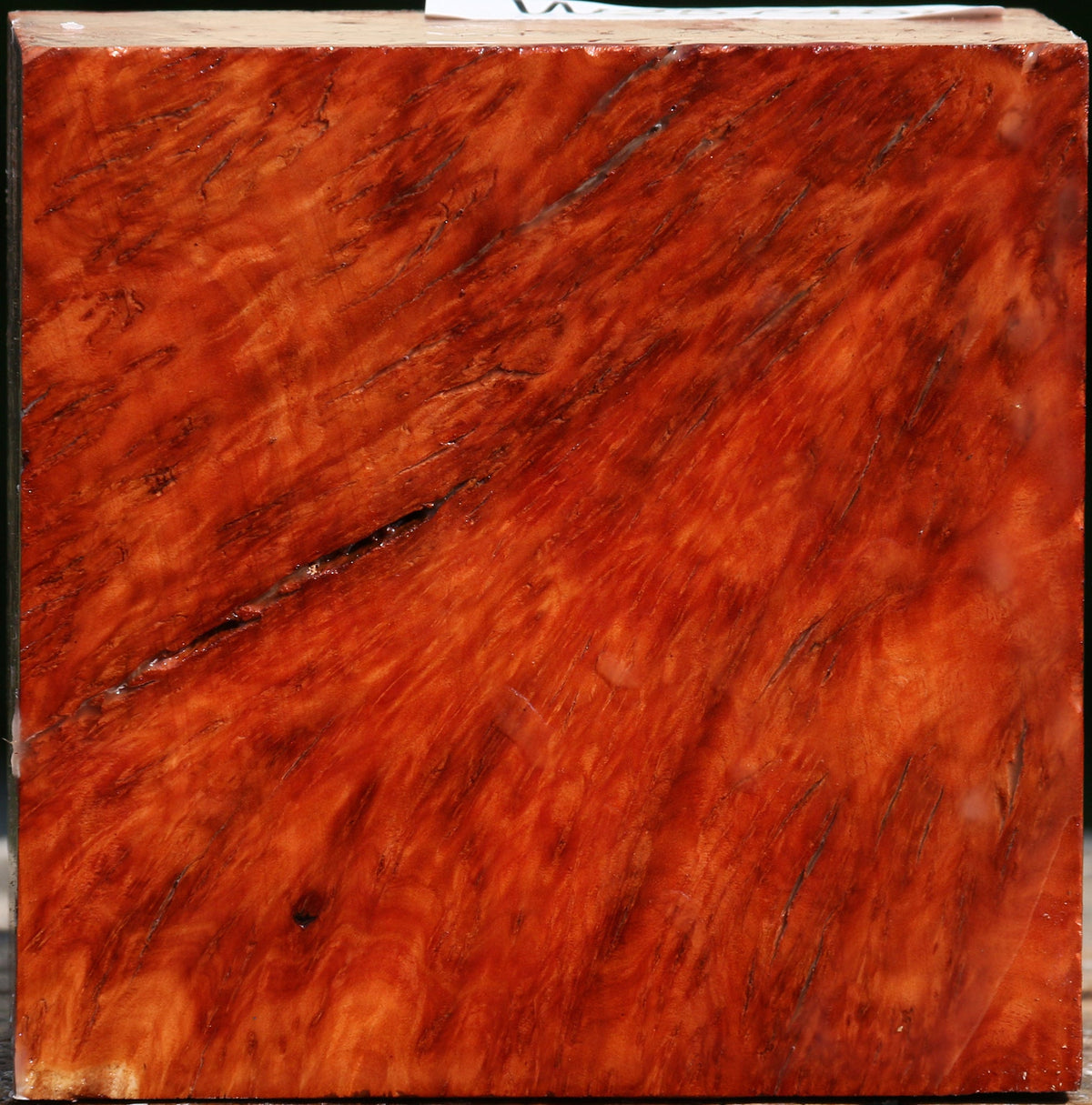 Red Coolibah Burl Bowl Blank
