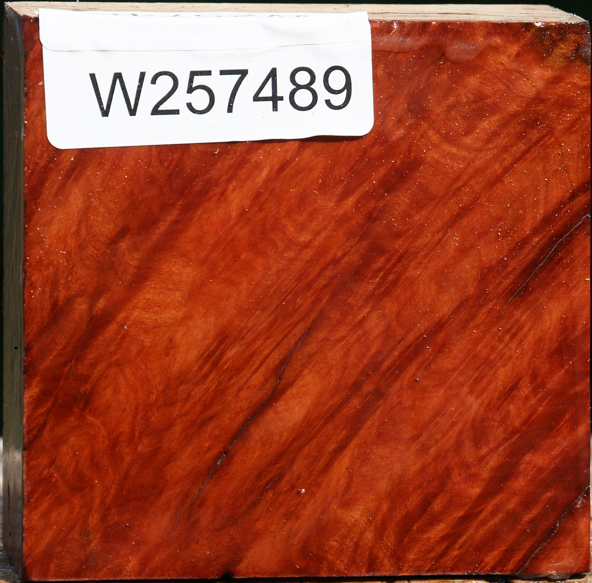 Red Coolibah Burl Bowl Blank