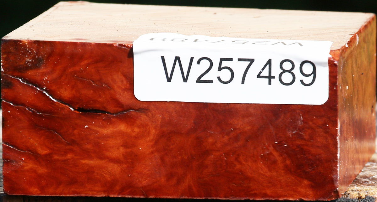 Red Coolibah Burl Bowl Blank