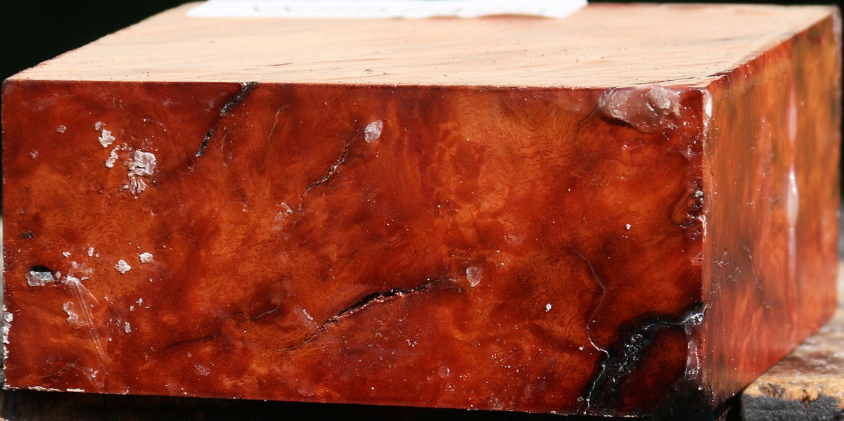 Red Coolibah Burl Bowl Blank