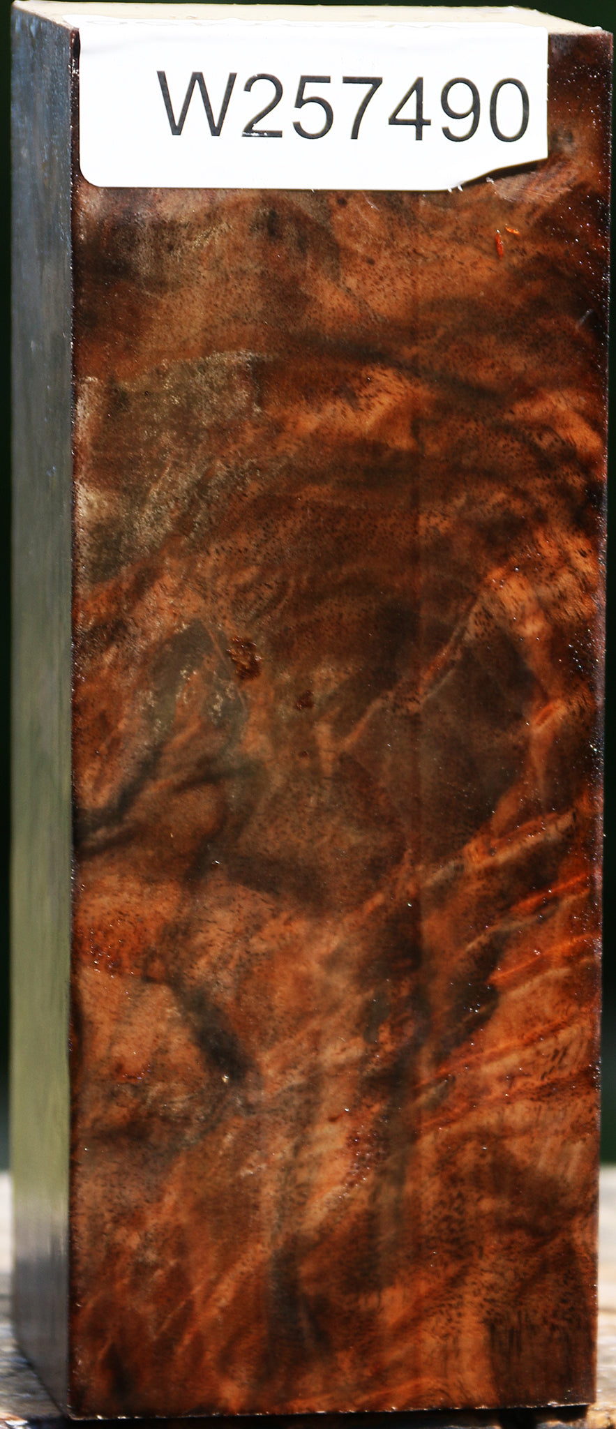 Extra Fancy Claro Walnut Turning Square