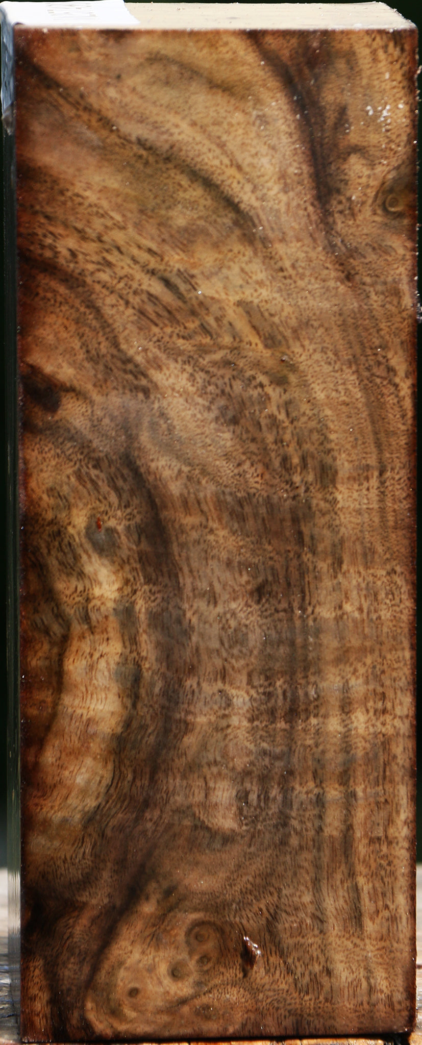 Extra Fancy Claro Walnut Turning Square