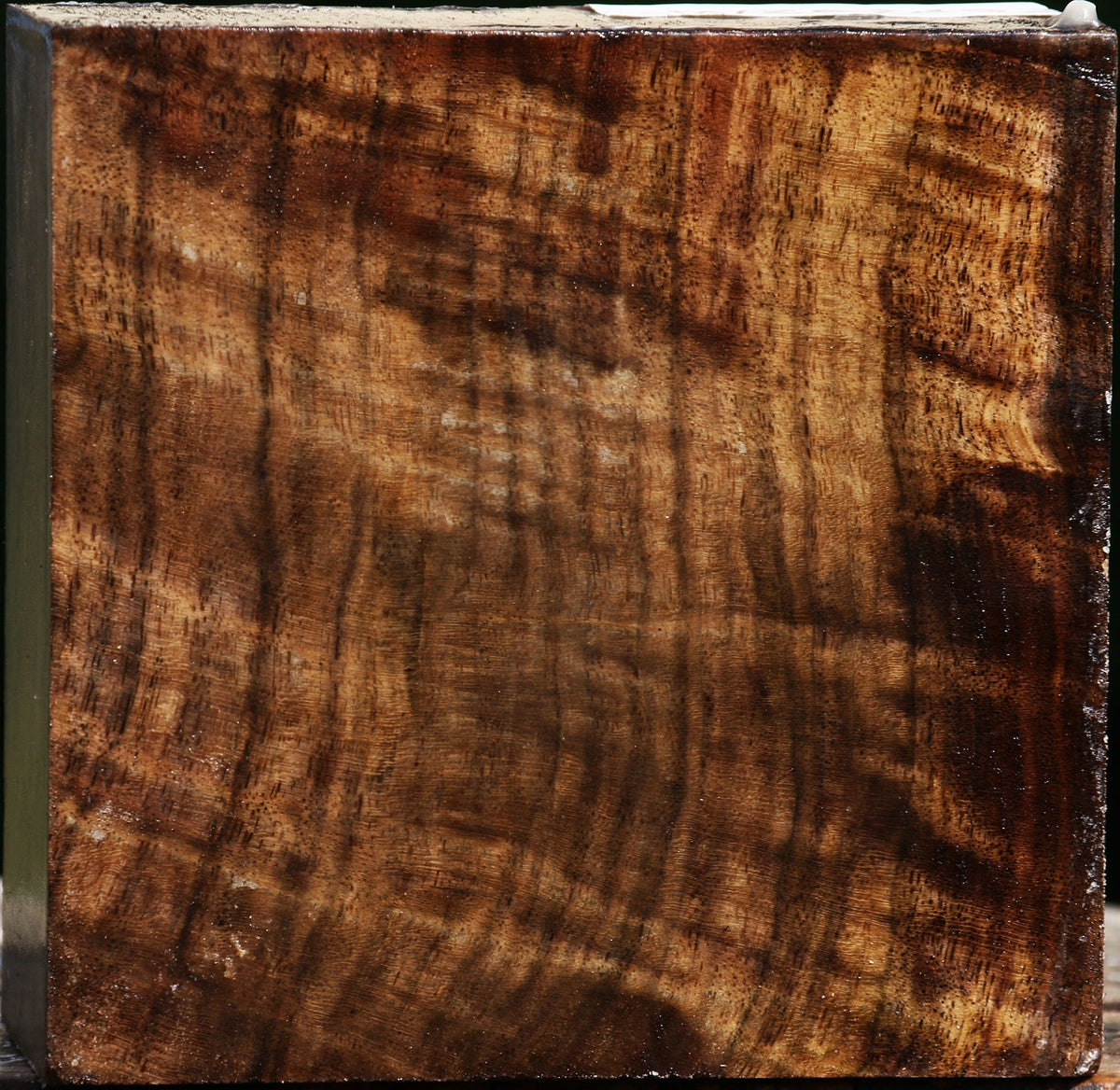 Extra Fancy Claro Walnut Bowl Blank