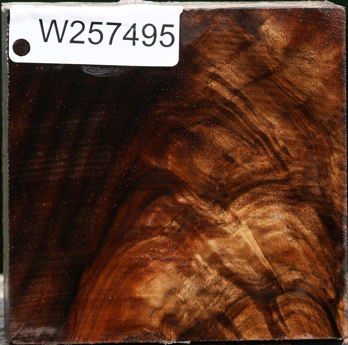 Extra Fancy Grafted English/Claro Walnut Bowl Blank