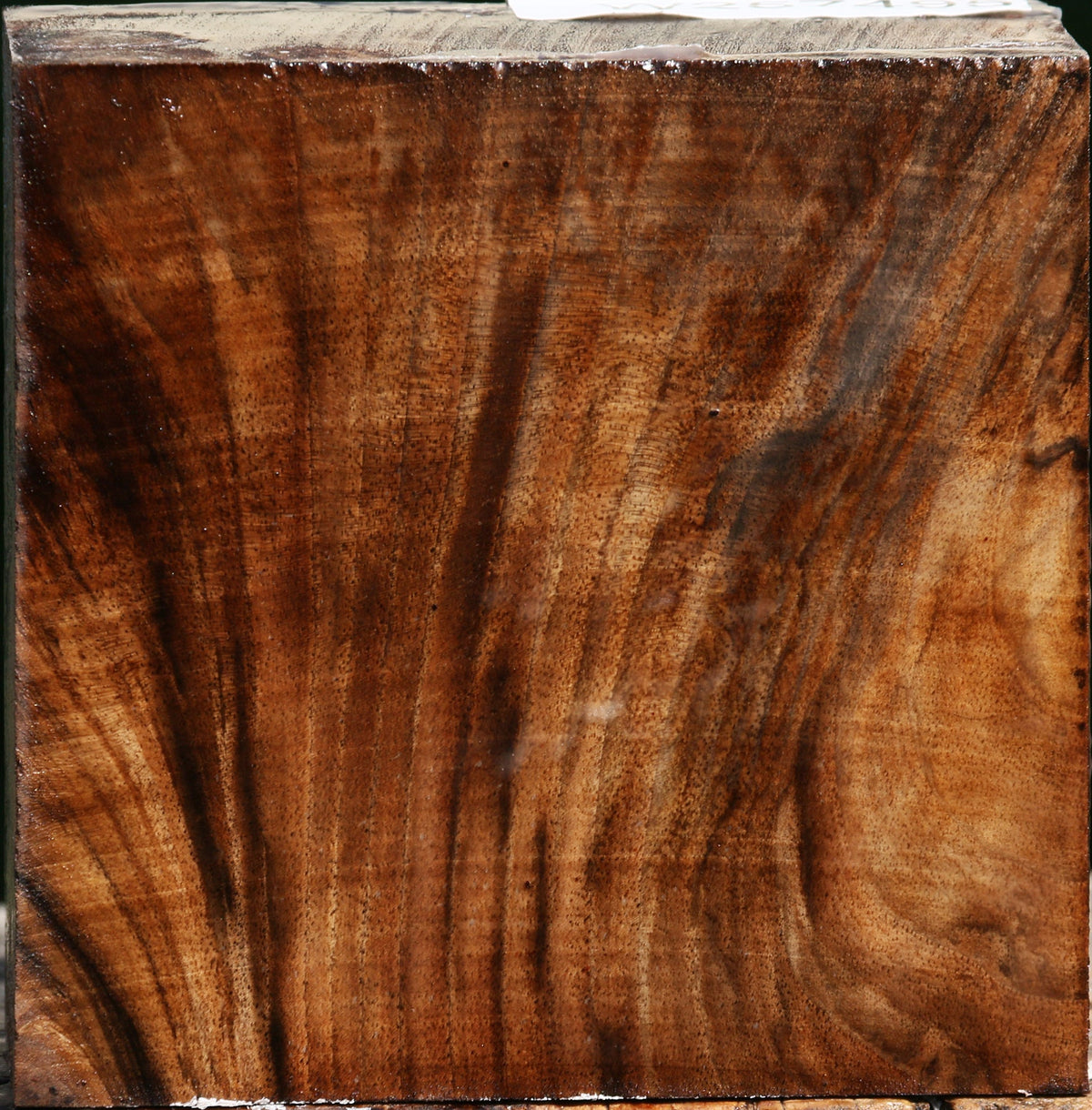 Extra Fancy Grafted English/Claro Walnut Bowl Blank