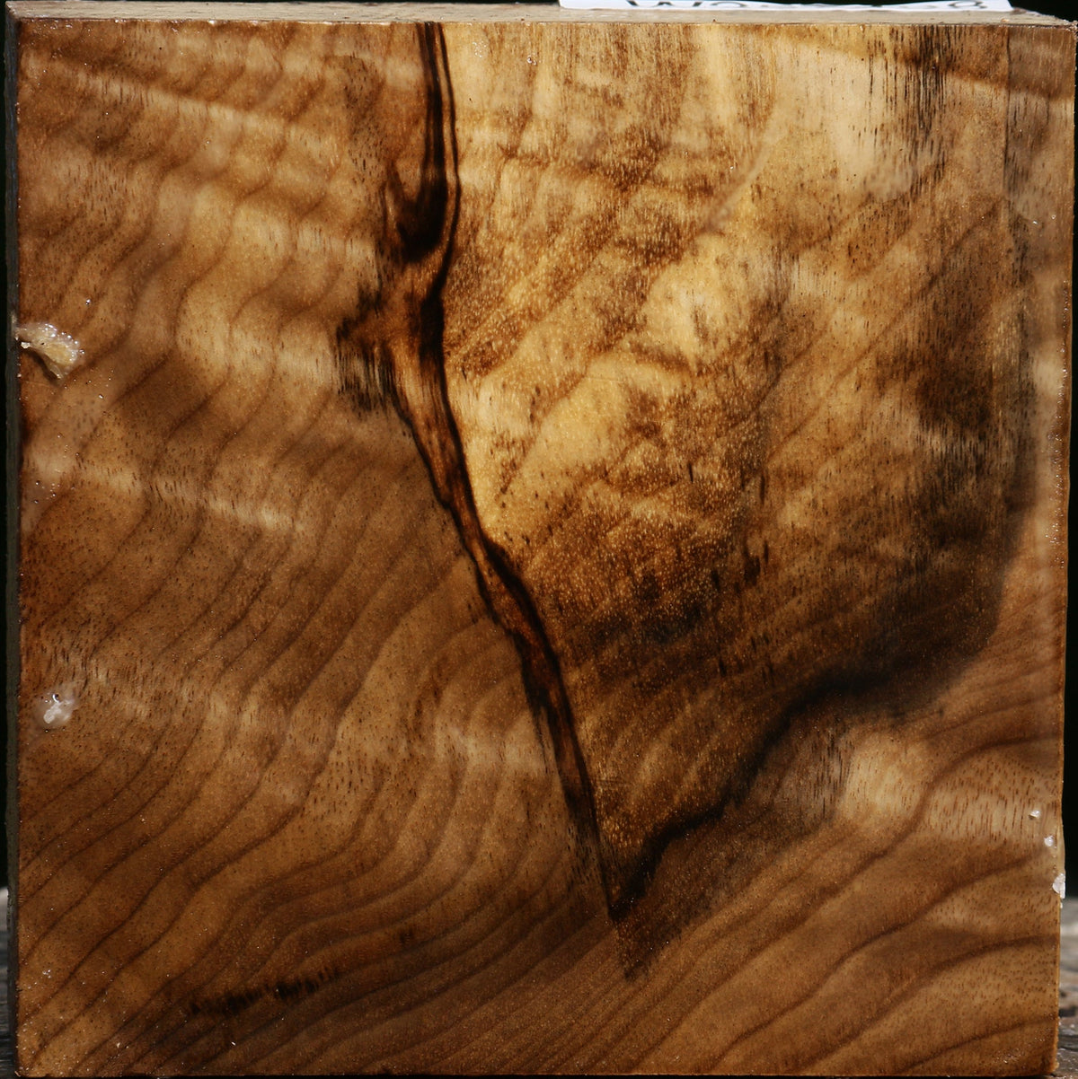 Figured Myrtle Bowl Blank