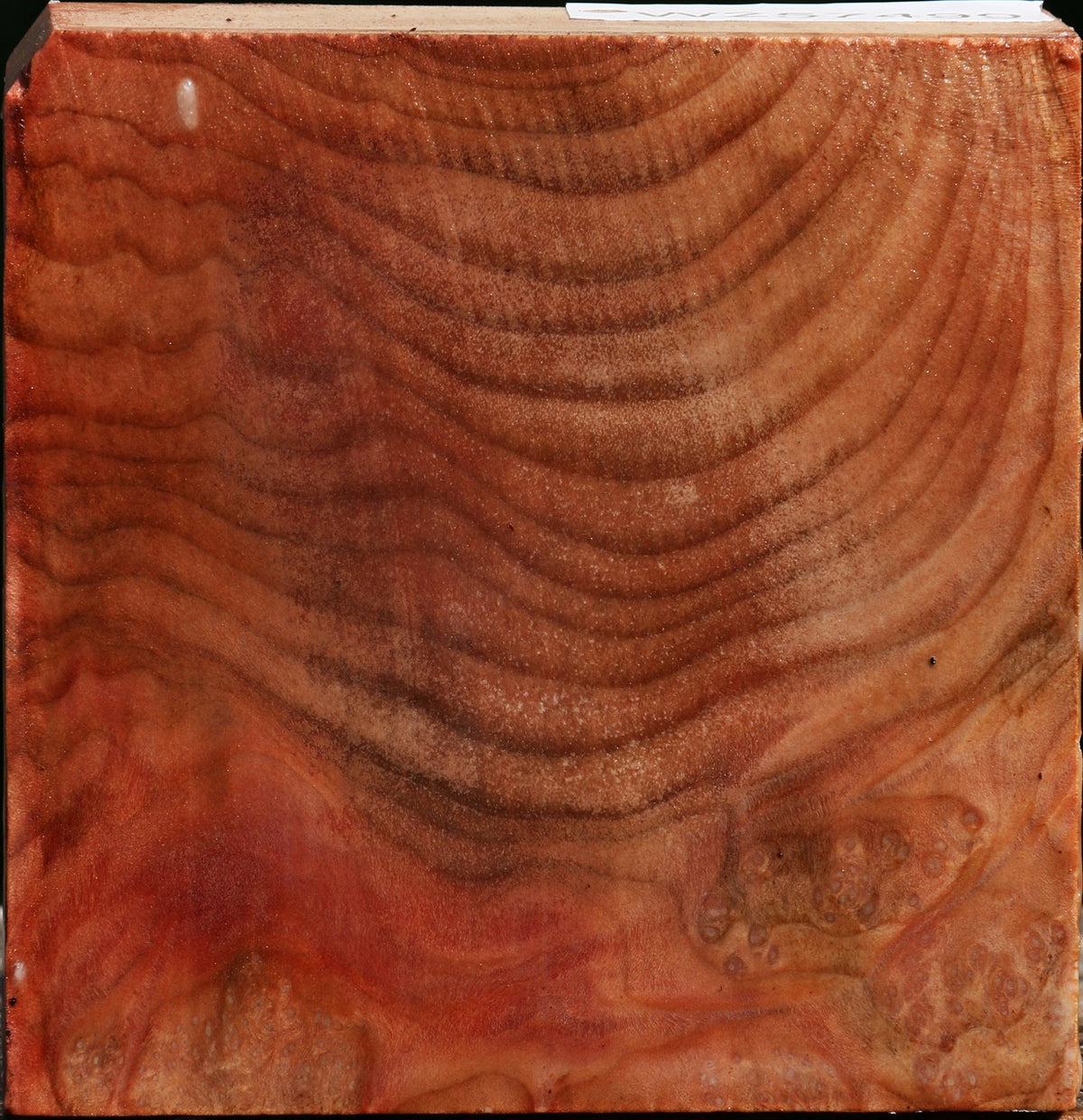 Madrone Burl Bowl Blank