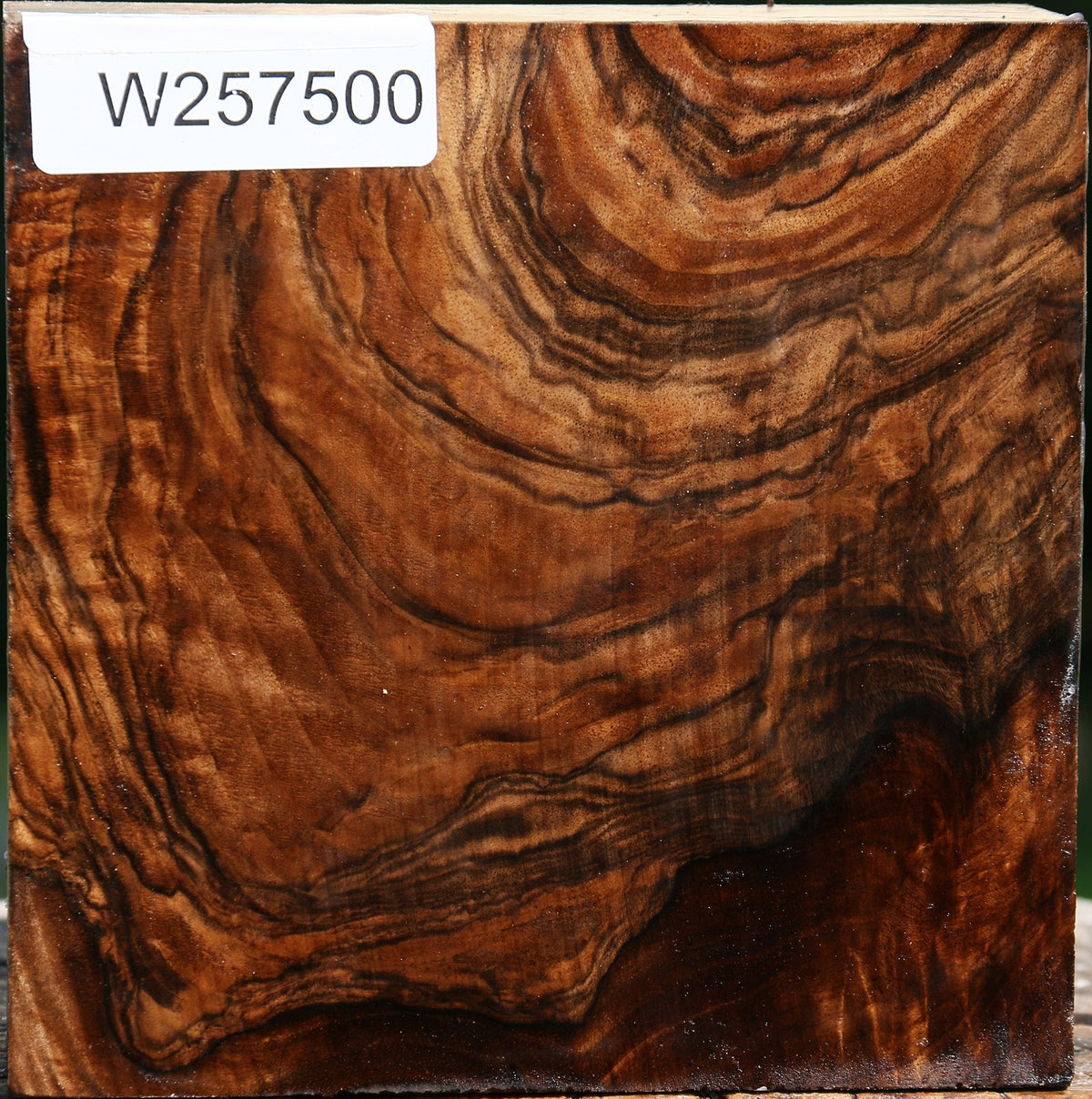 Extra Fancy Grafted English/Claro Walnut Bowl Blank