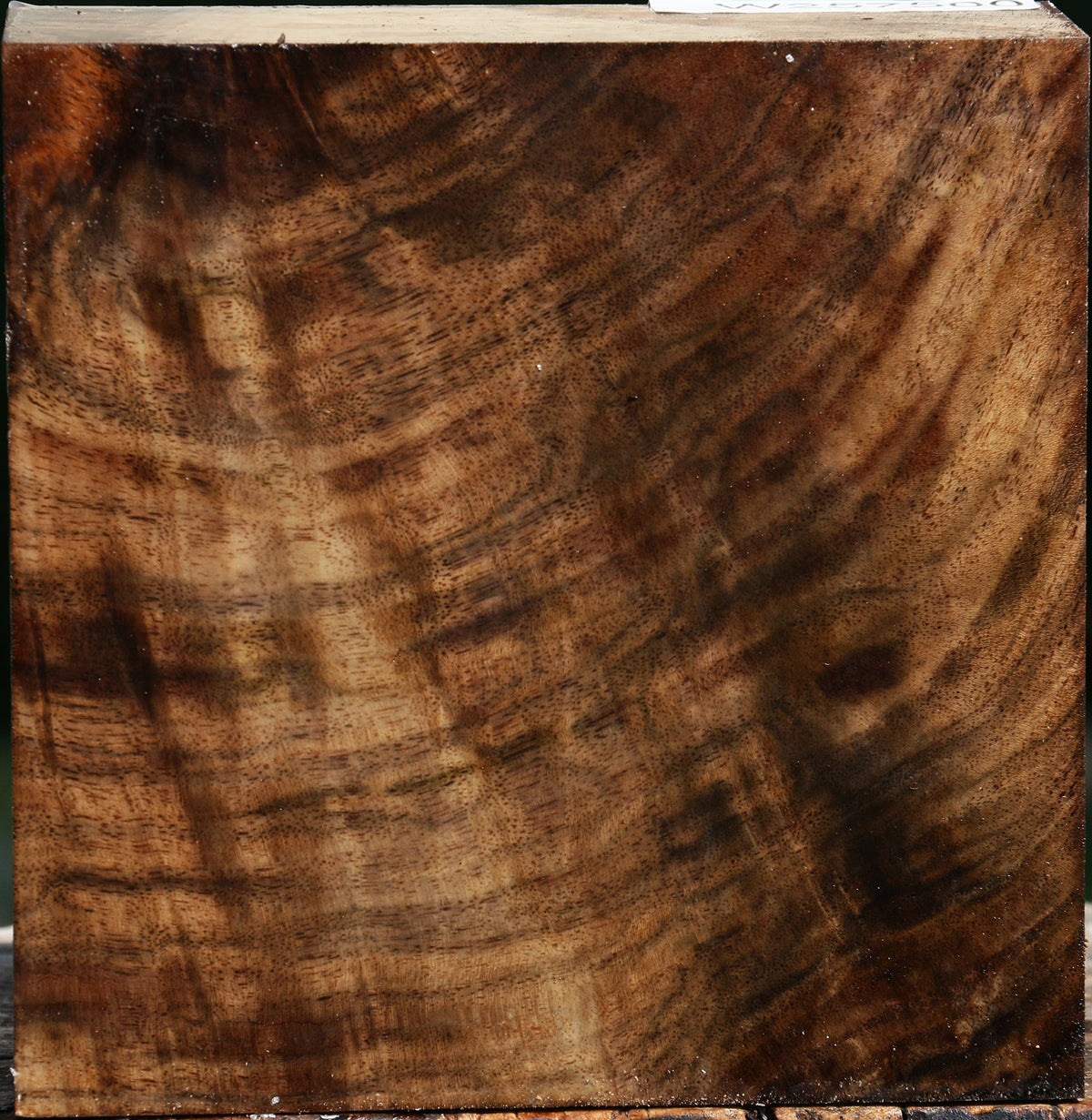 Extra Fancy Grafted English/Claro Walnut Bowl Blank