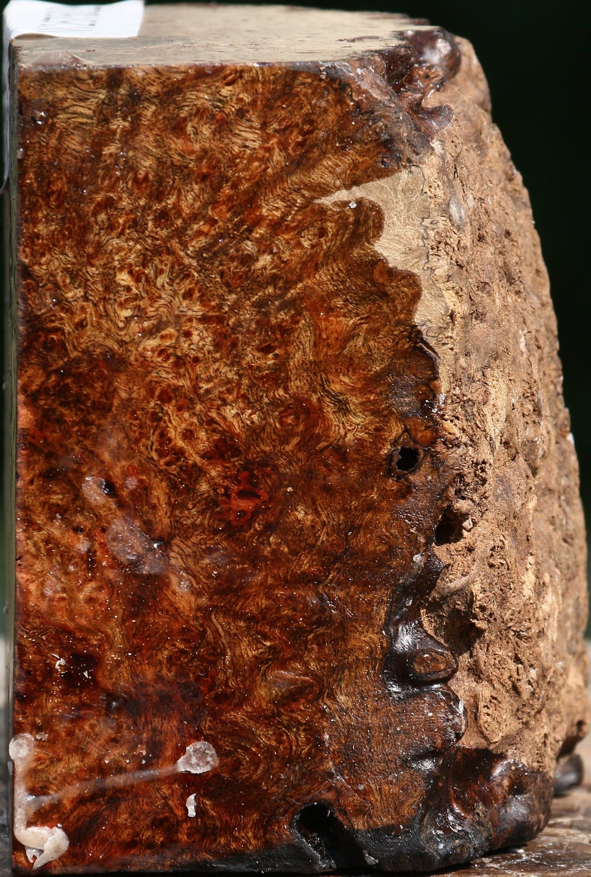 Chechen Burl Live Edge Bowl Blank