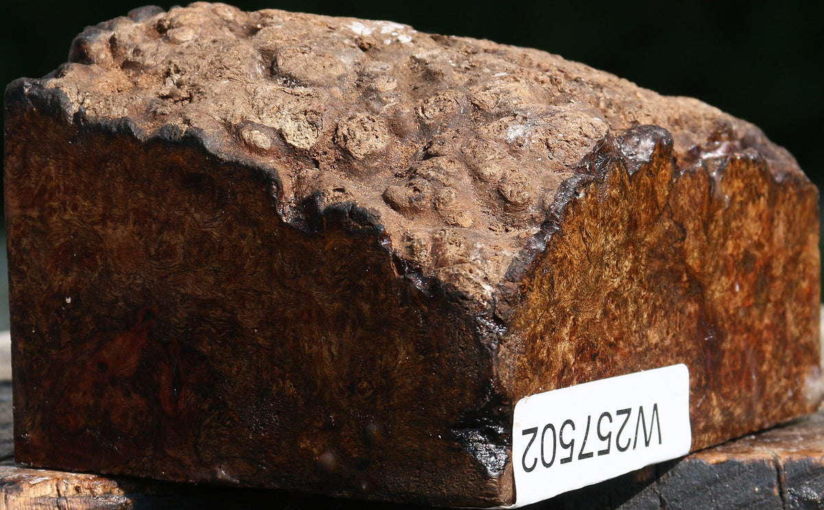 Chechen Burl Live Edge Bowl Blank