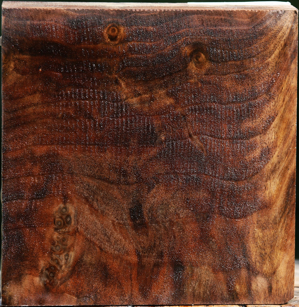 Extra Fancy Crotchwood Claro Walnut Bowl Blank