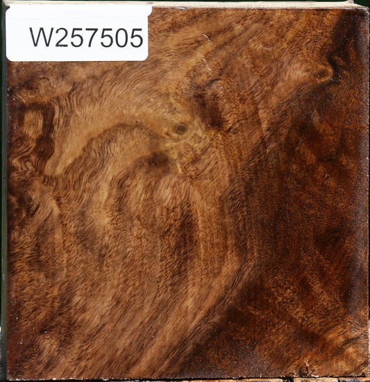 Claro Walnut Bowl Blank