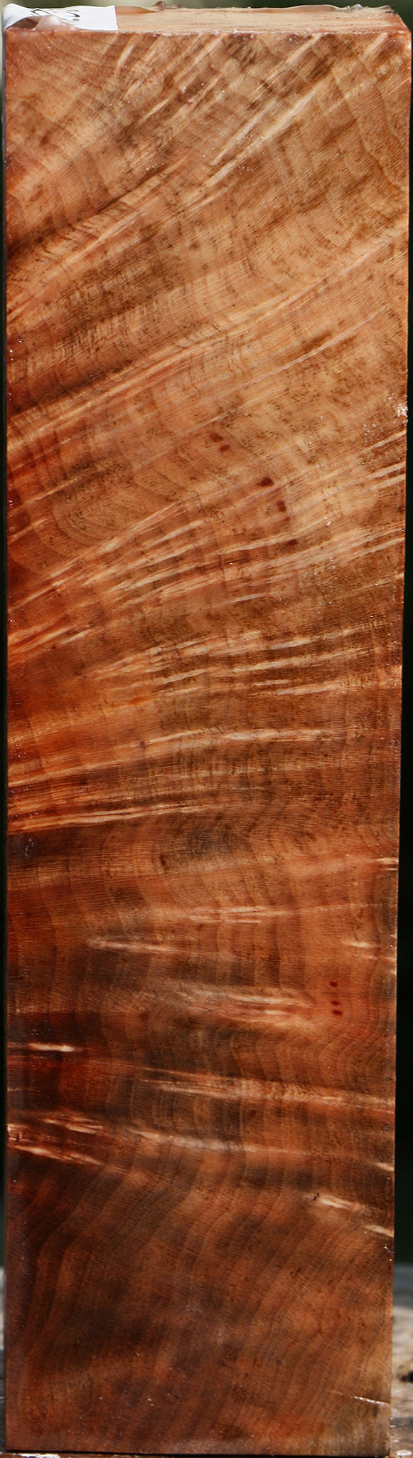 Madrone Burl Peppermill