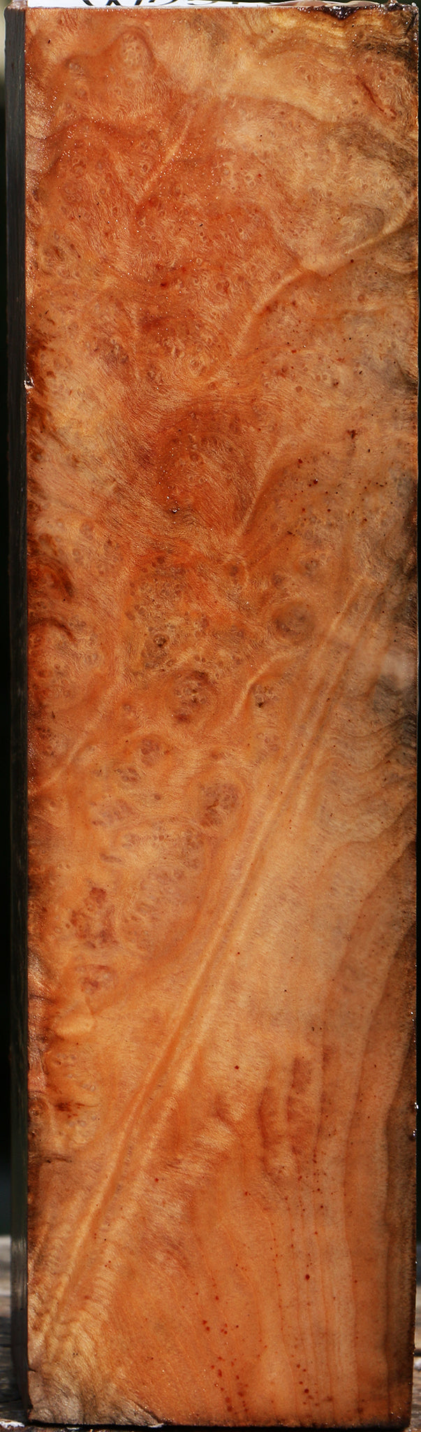 Madrone Burl Peppermill