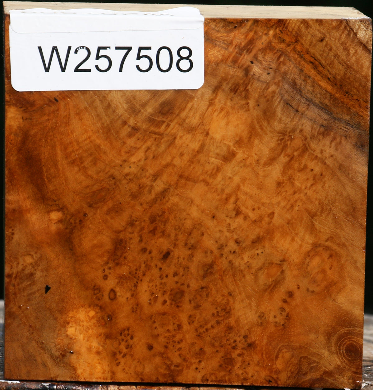 Teak Burl Bowl Blank