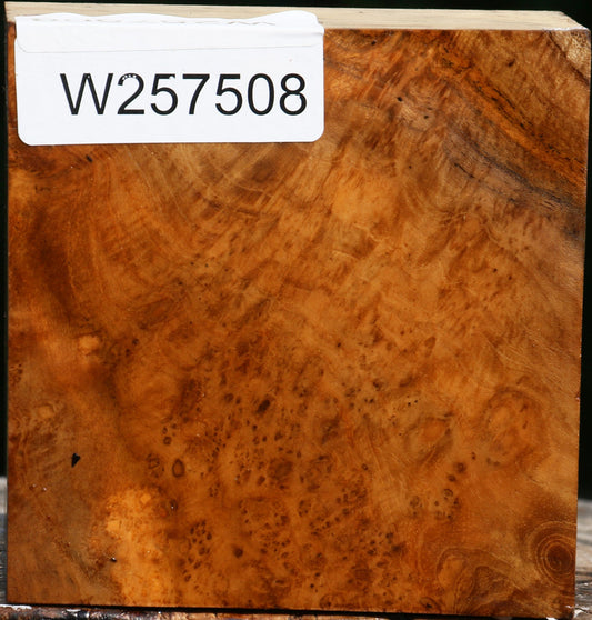 Teak Burl Bowl Blank