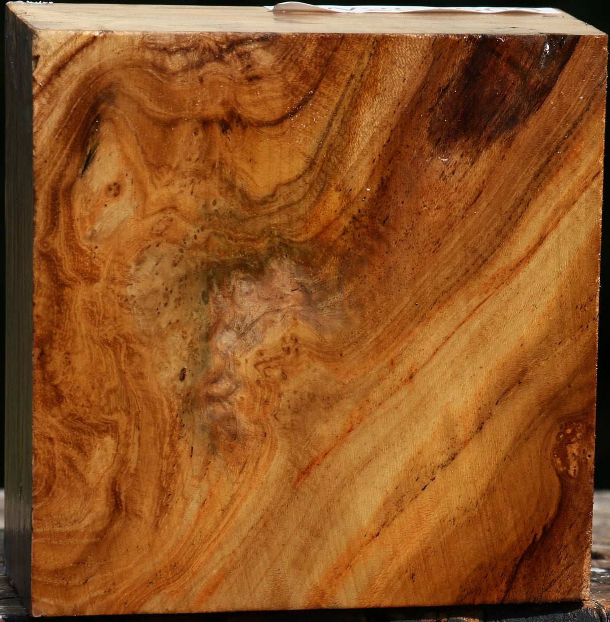 Teak Burl Bowl Blank