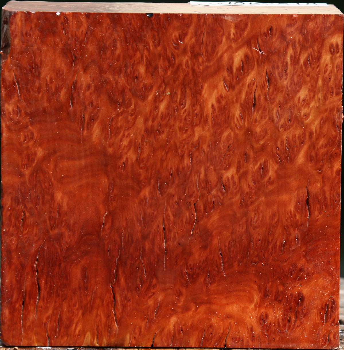 Red Gum Burl Bowl Blank
