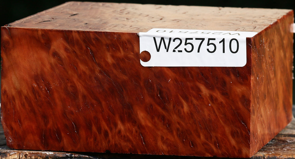 Red Gum Burl Bowl Blank