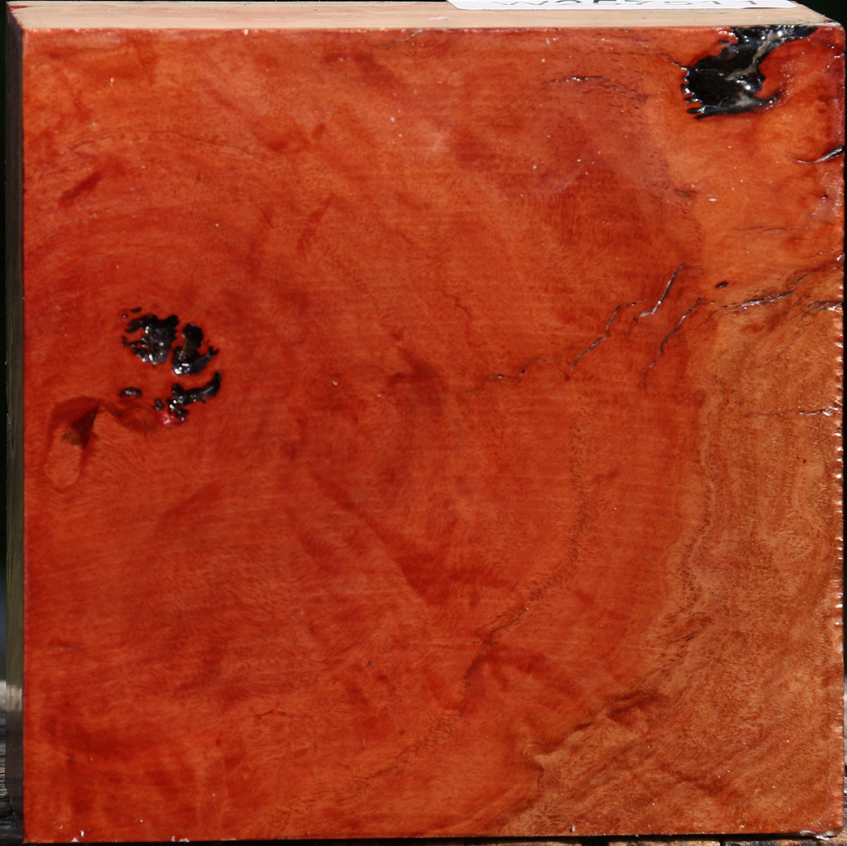 Red Coolibah Bowl Blank