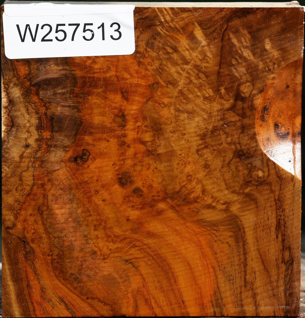 Teak Burl Bowl Blank