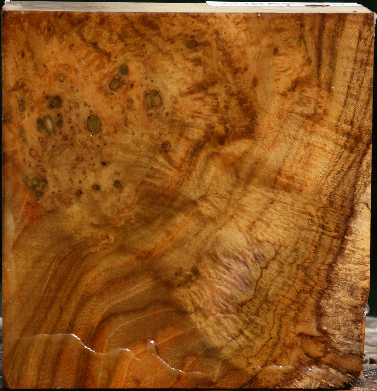 Teak Burl Bowl Blank