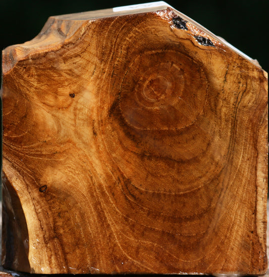 Teak Bowl Blank