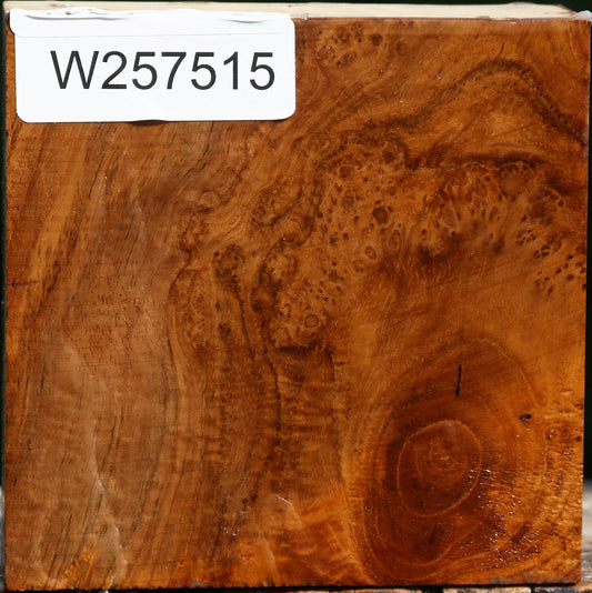 Teak Burl Bowl Blank