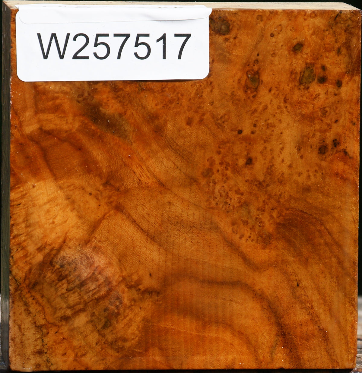 Teak Burl Bowl Blank