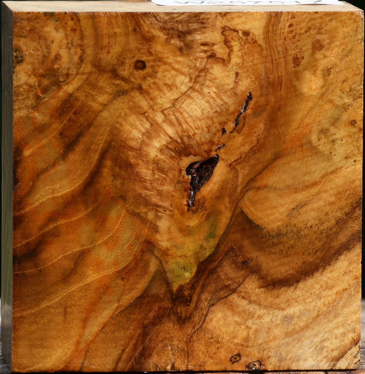 Teak Burl Bowl Blank