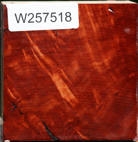 Red Coolibah Bowl Blank