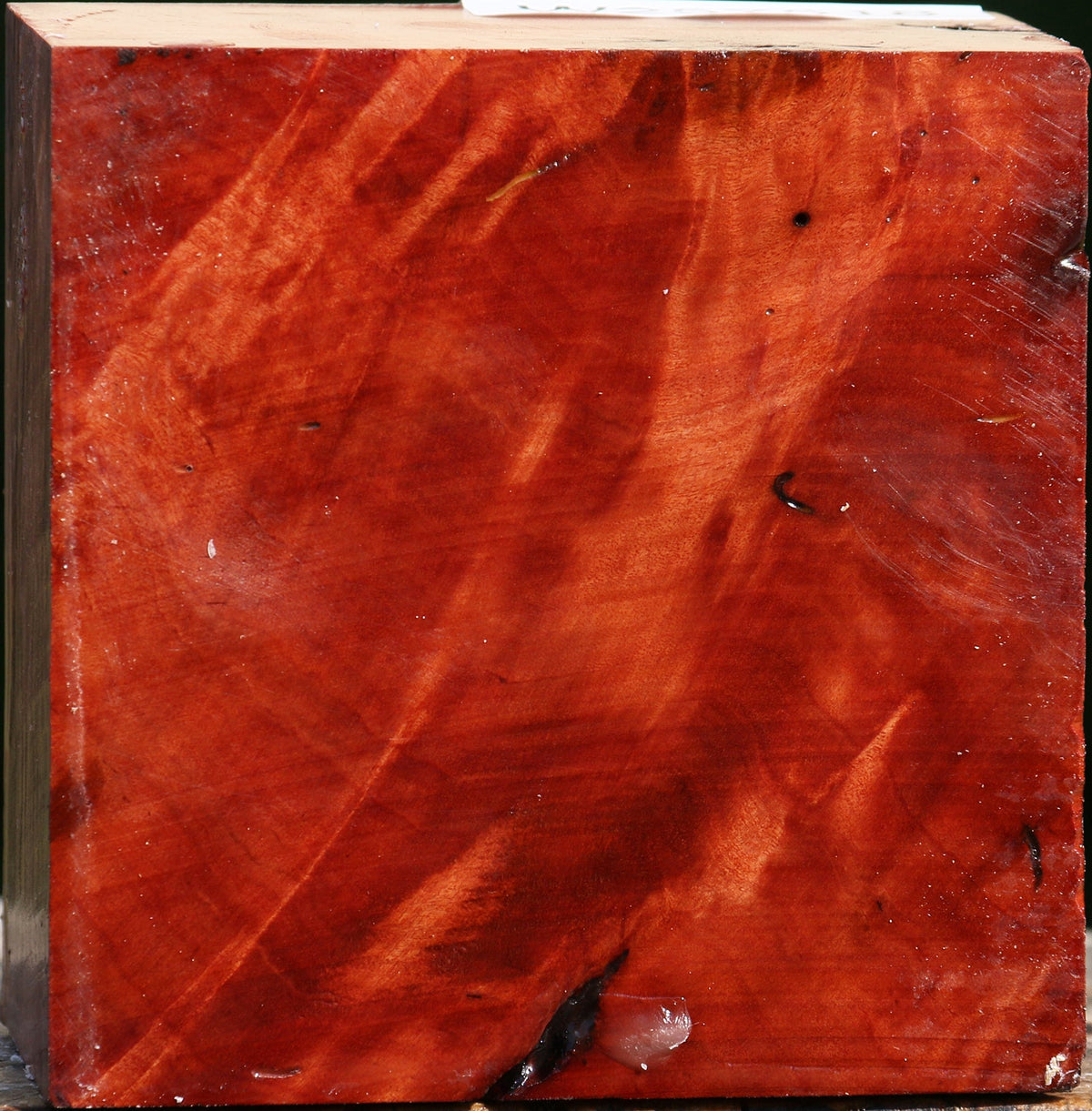 Red Coolibah Bowl Blank