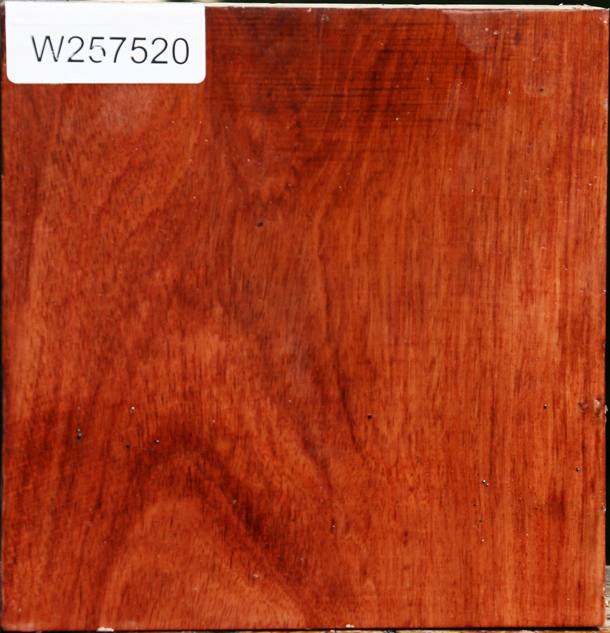 Bubinga Bowl Blank