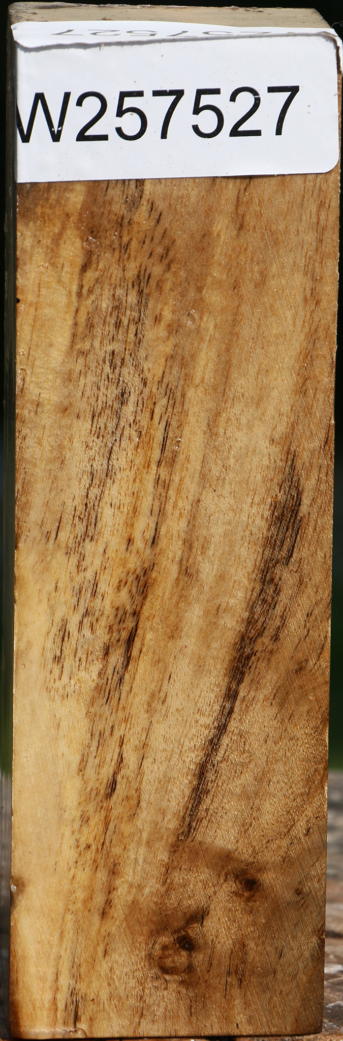 Hibiscus Turning Square
