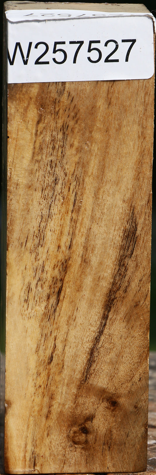 Hibiscus Turning Square