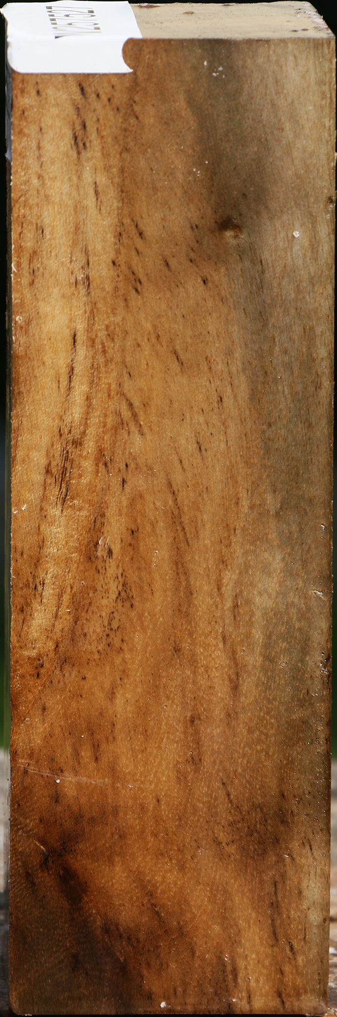Hibiscus Turning Square