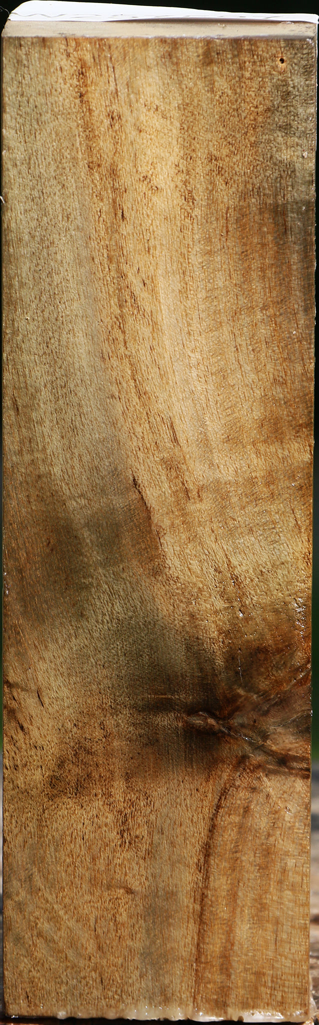 Hibiscus Turning Square