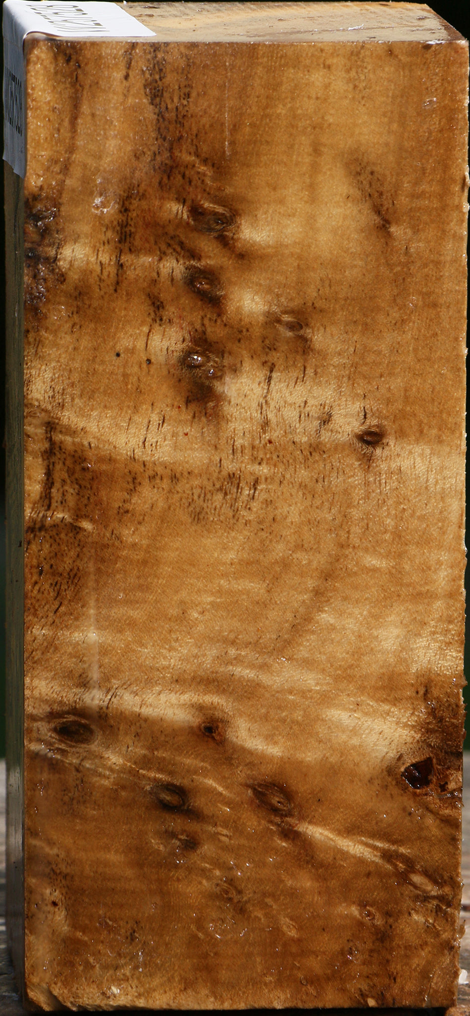 Hibiscus Turning Square